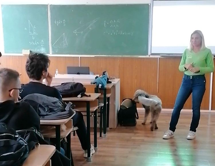 Állatvédelmi témahét a Csányban