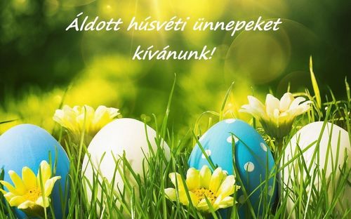 Áldott húsvéti ünnepeket kívánunk! 